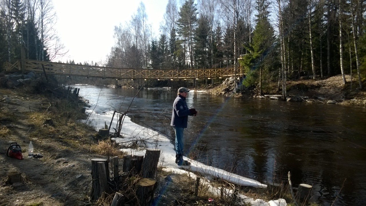 Piinukosken riippusilta